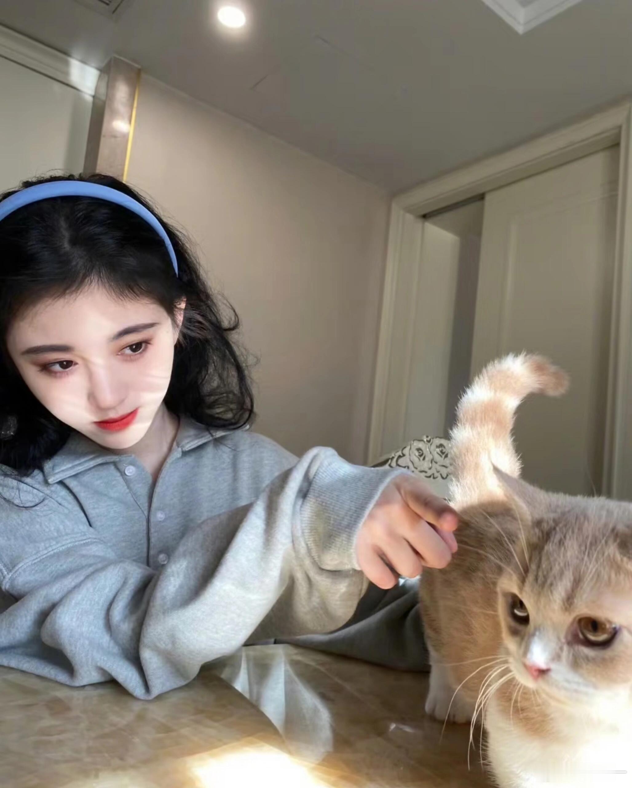 鞠婧祎鞠婧祎的猫也有番位 猫：我虽然不会说话，但我的体型已经替我表达了满意度。 