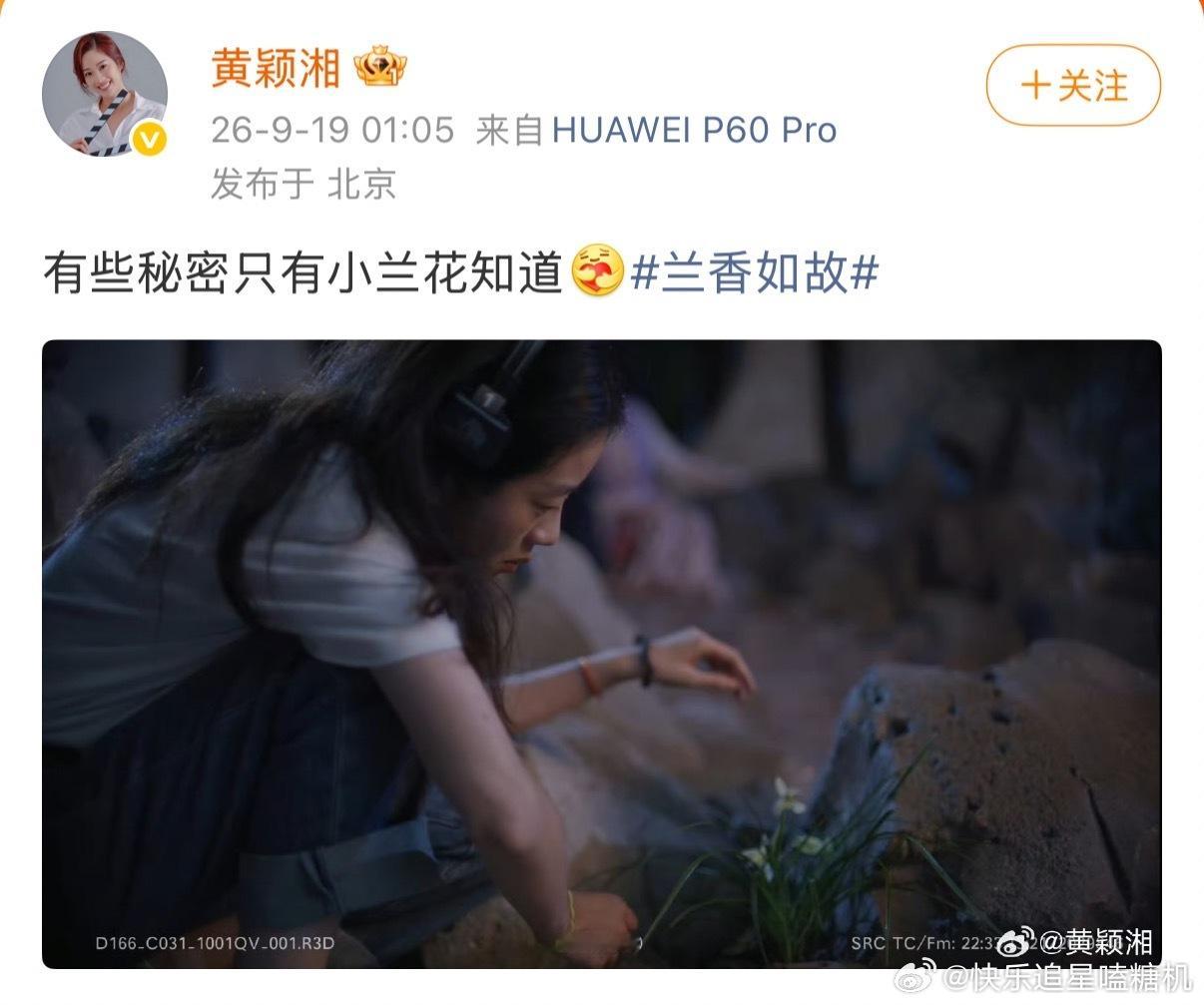 兰香如故中式留白审美 没有轰轰烈烈的告白拥抱，心动全藏在隔窗偷望和月下静默里，不