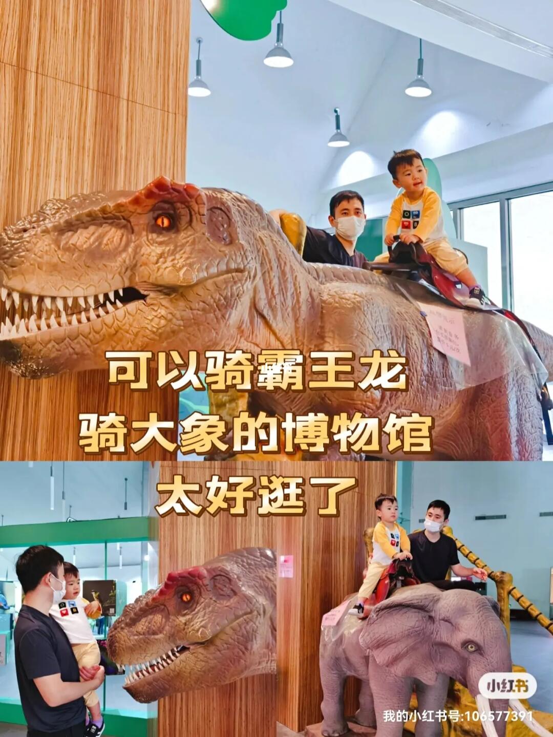 可以骑恐龙骑大象/中国湿地博物馆太好逛了