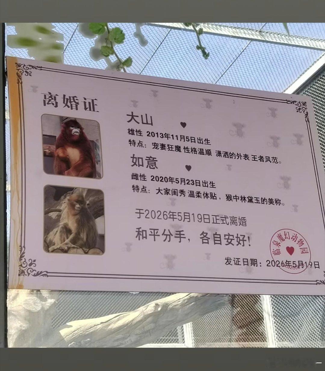 如意怎么闪婚啊 ​​​