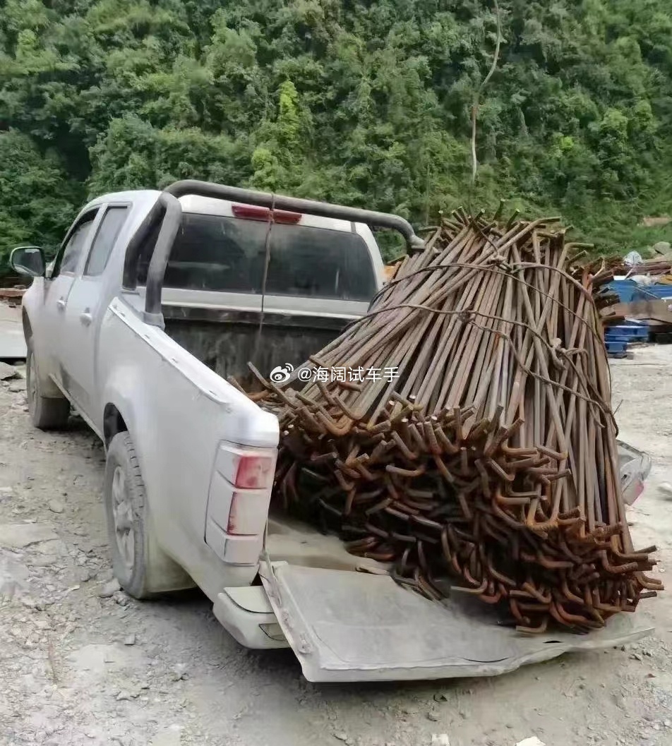 今年皮卡圈子的压力比较大，各家都在出新品，拼发动机的，拼配置的，拼价格的，但是皮