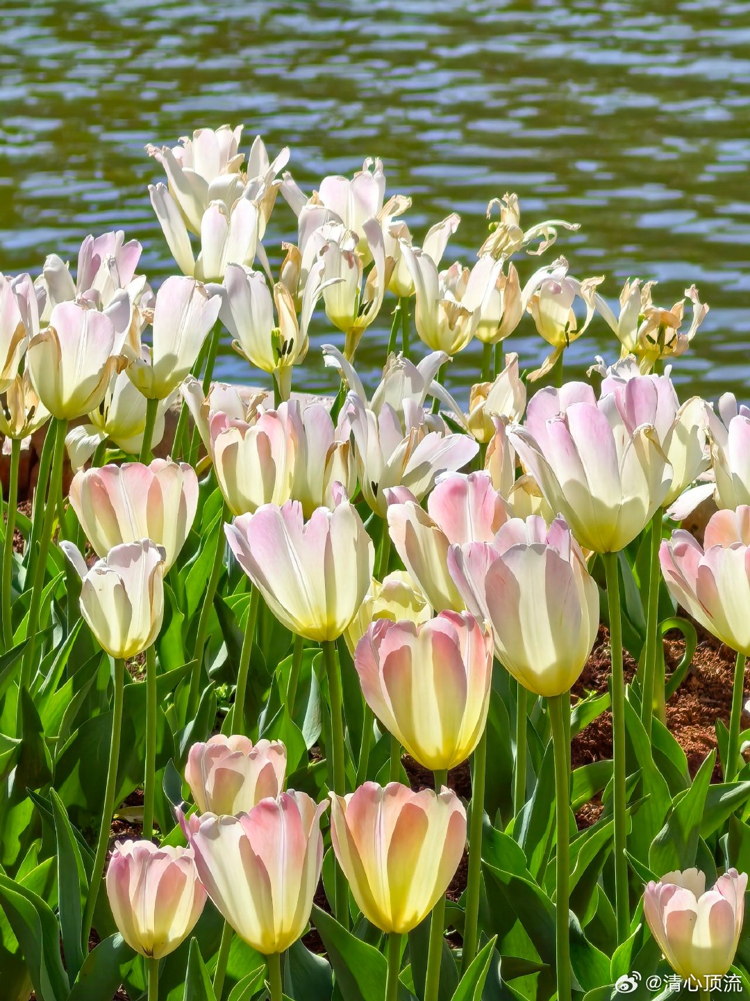 ColorWalk云南色彩  在彩云之南，大家能够看到了多姿多彩的绚丽的色彩呀，