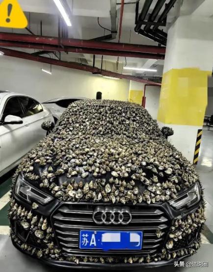 “一分钱不要，也得让你长记性！”业主车位被霸占10天，一怒之下做了这种事。他没有