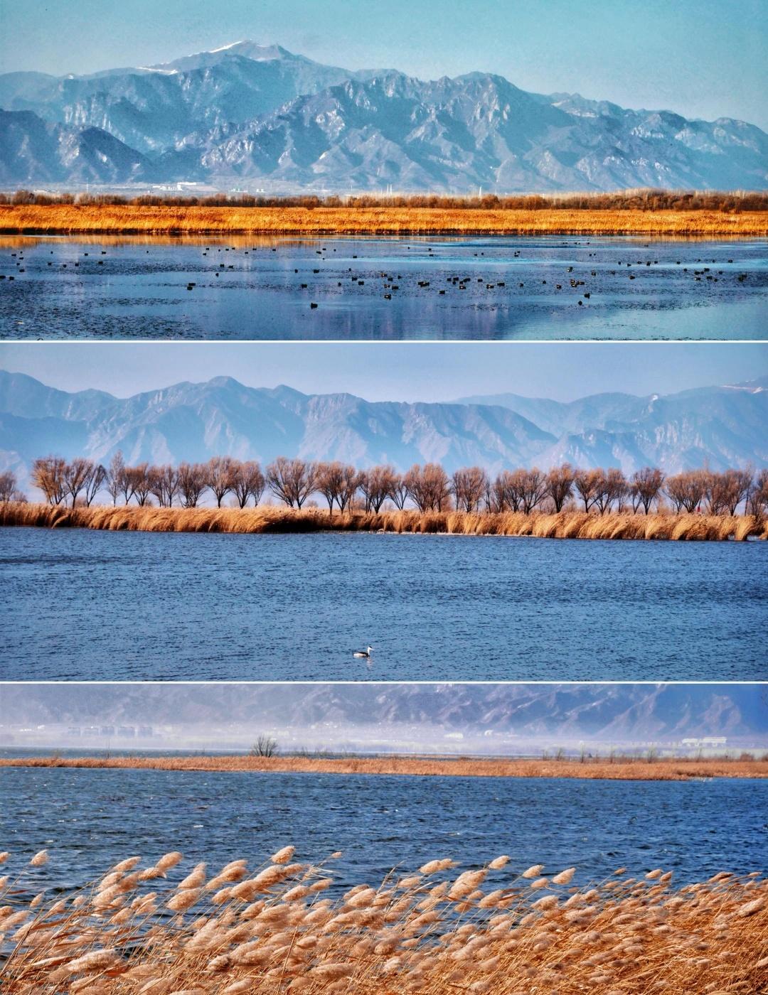 这里不是洱海是北京！
被这片“西北苍茫”治愈了🌅附超全攻略
	
姐妹们！冬天的