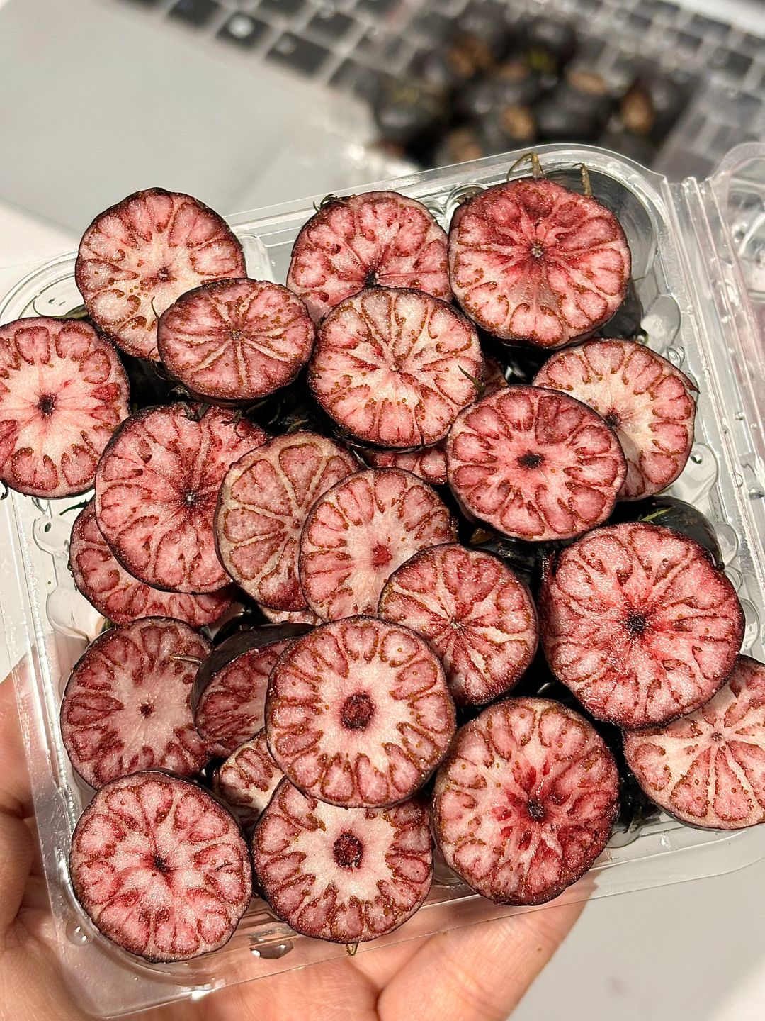 求助网友！有人知道这是什么水果吗？