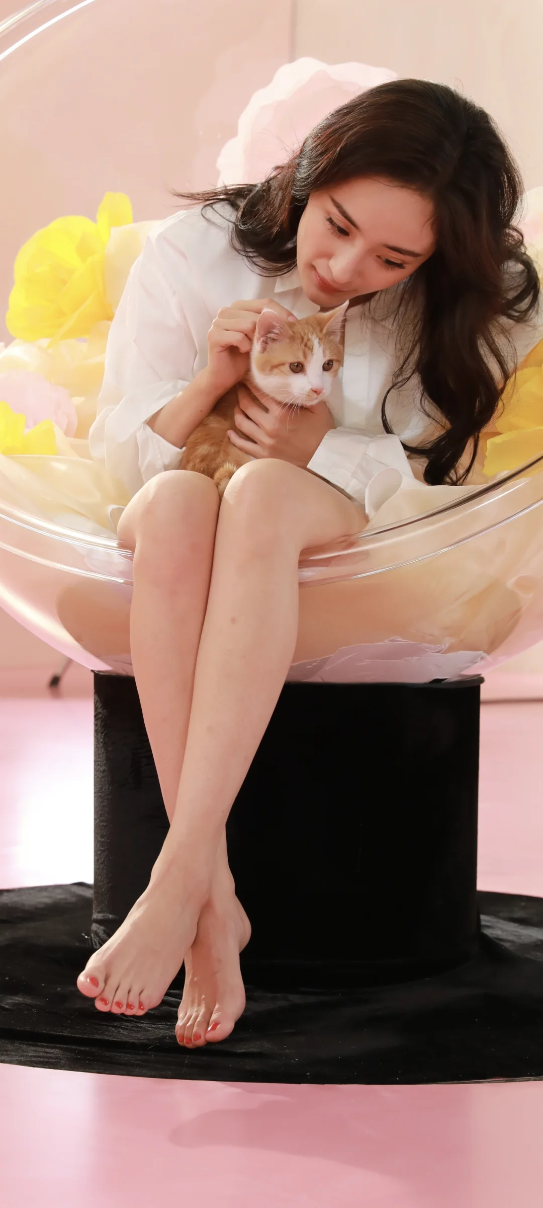杨幂生图素材