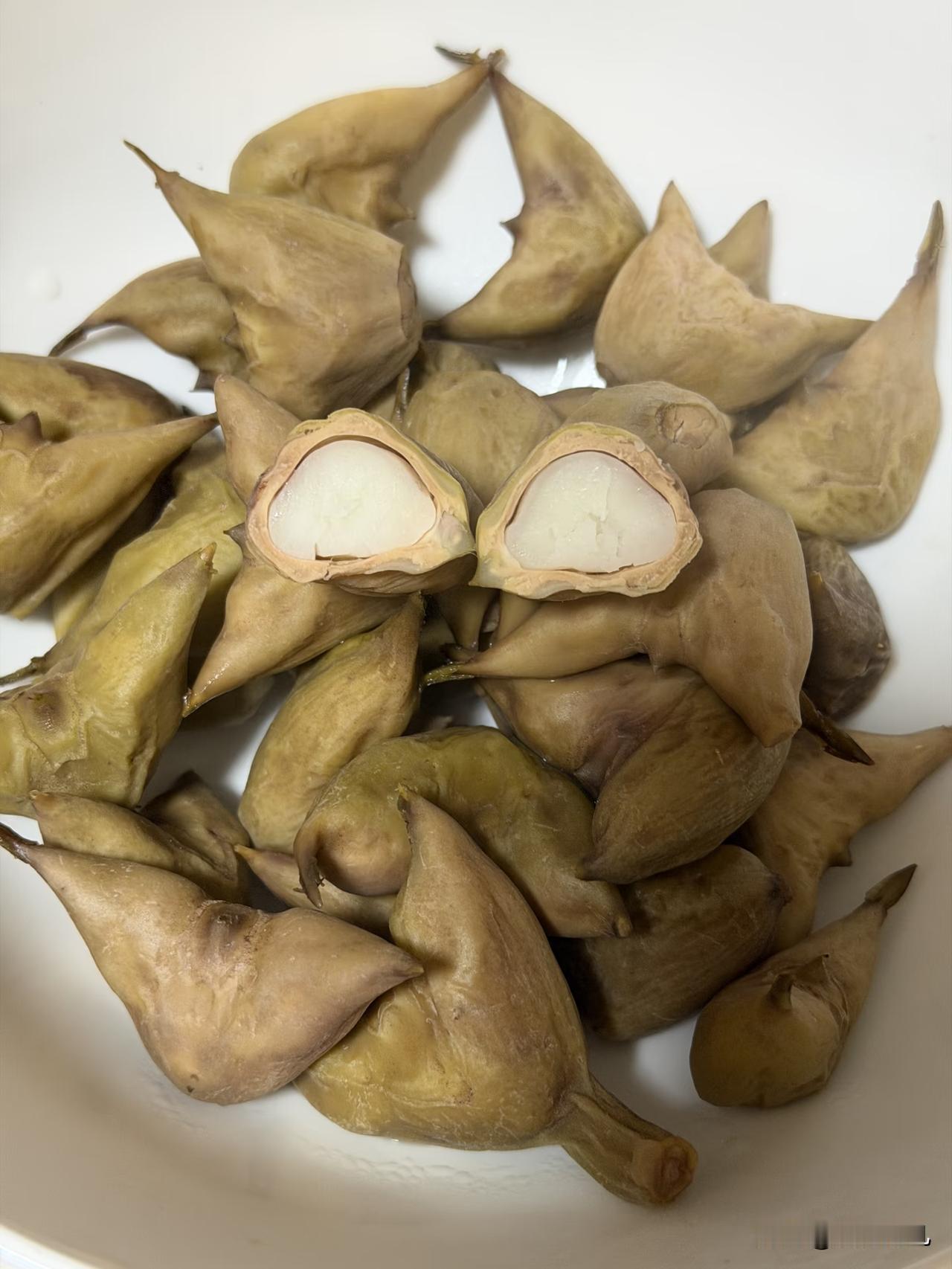 @豆包 帮我点评