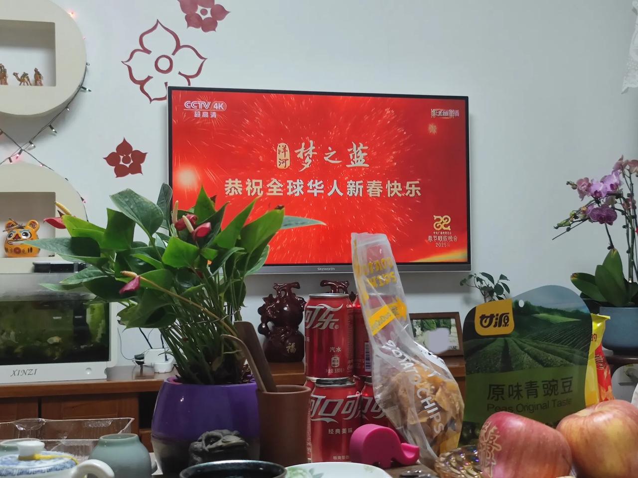 春晚都看了吗？截止到现在没看完整任何一个节目，到底好不好看？哪个节目值得回看?