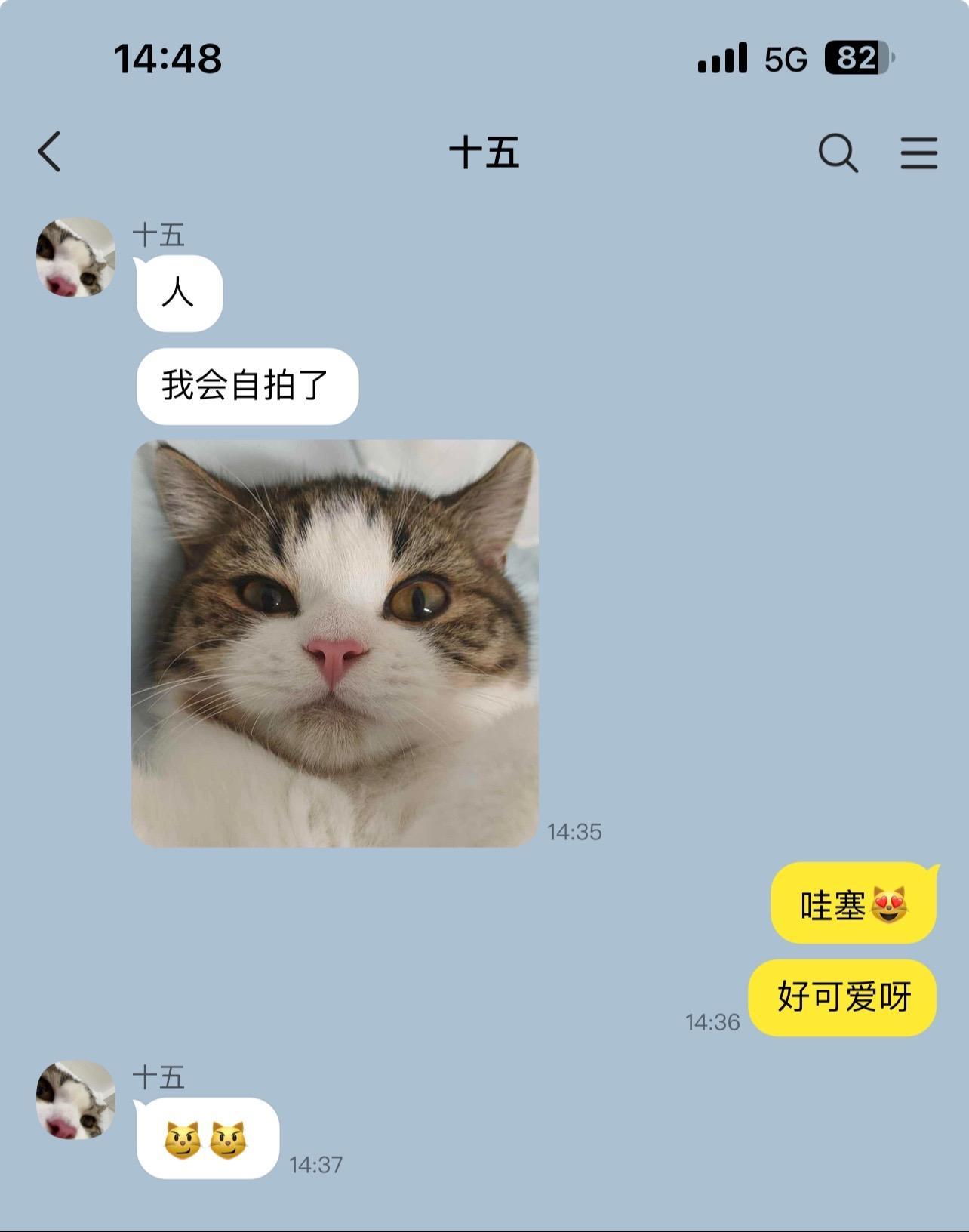 当小猫有了手机。 