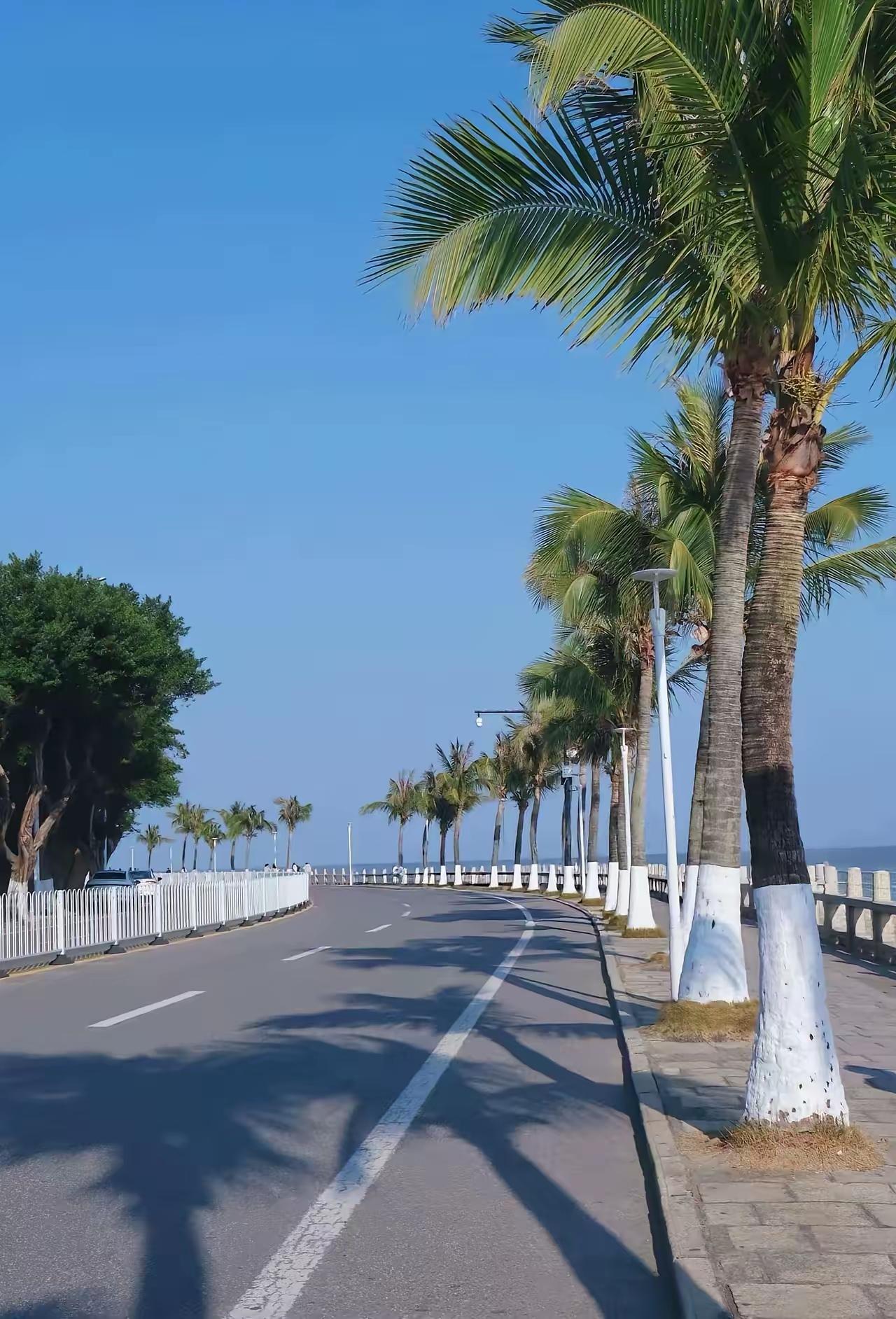 最有价值的一句话：同样100万，选对赛道，结果天差地别！
去年年初投铝能赚47万
