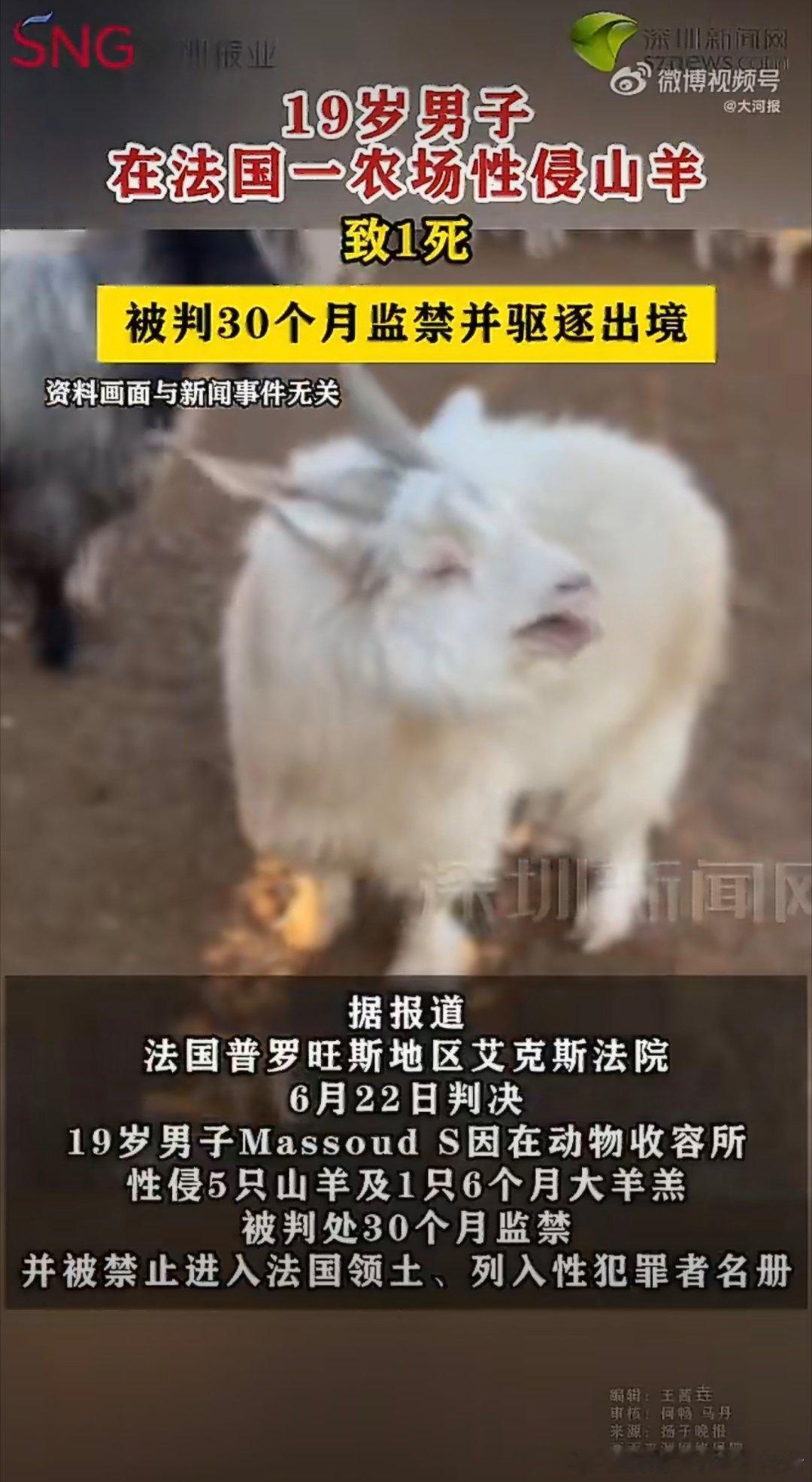 男子在法国性侵山羊被驱逐出境太野了，野的没边了，现在连山羊都不放过，这是性压抑到