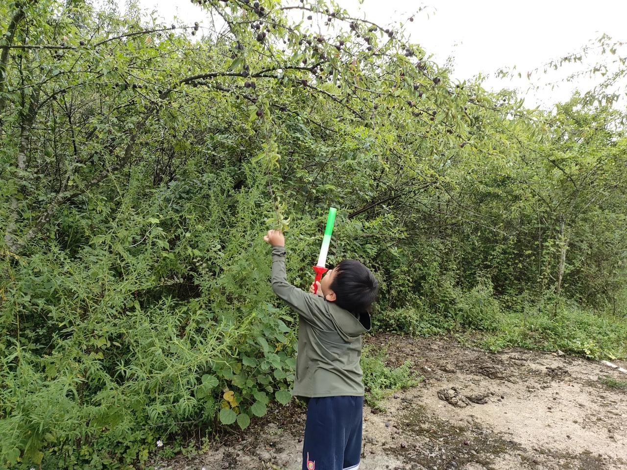 #记录我的8月生活#