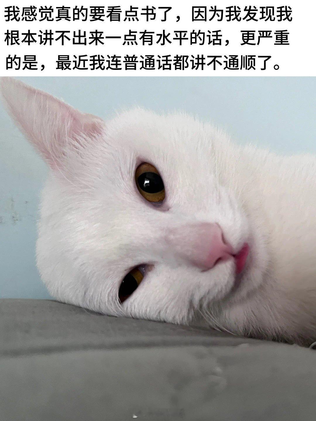 现在说话毫无逻辑可言 