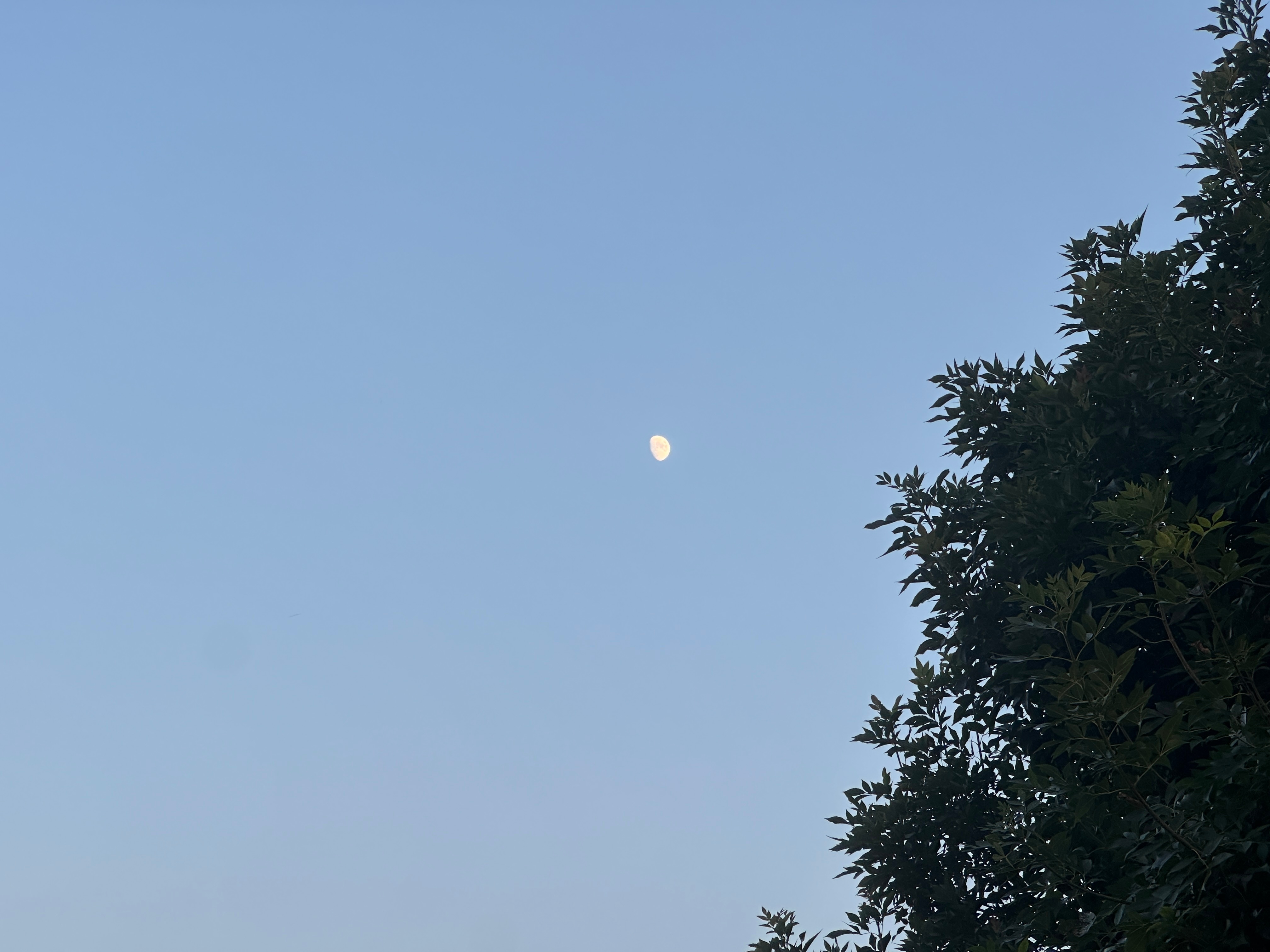 我的月未圆。 