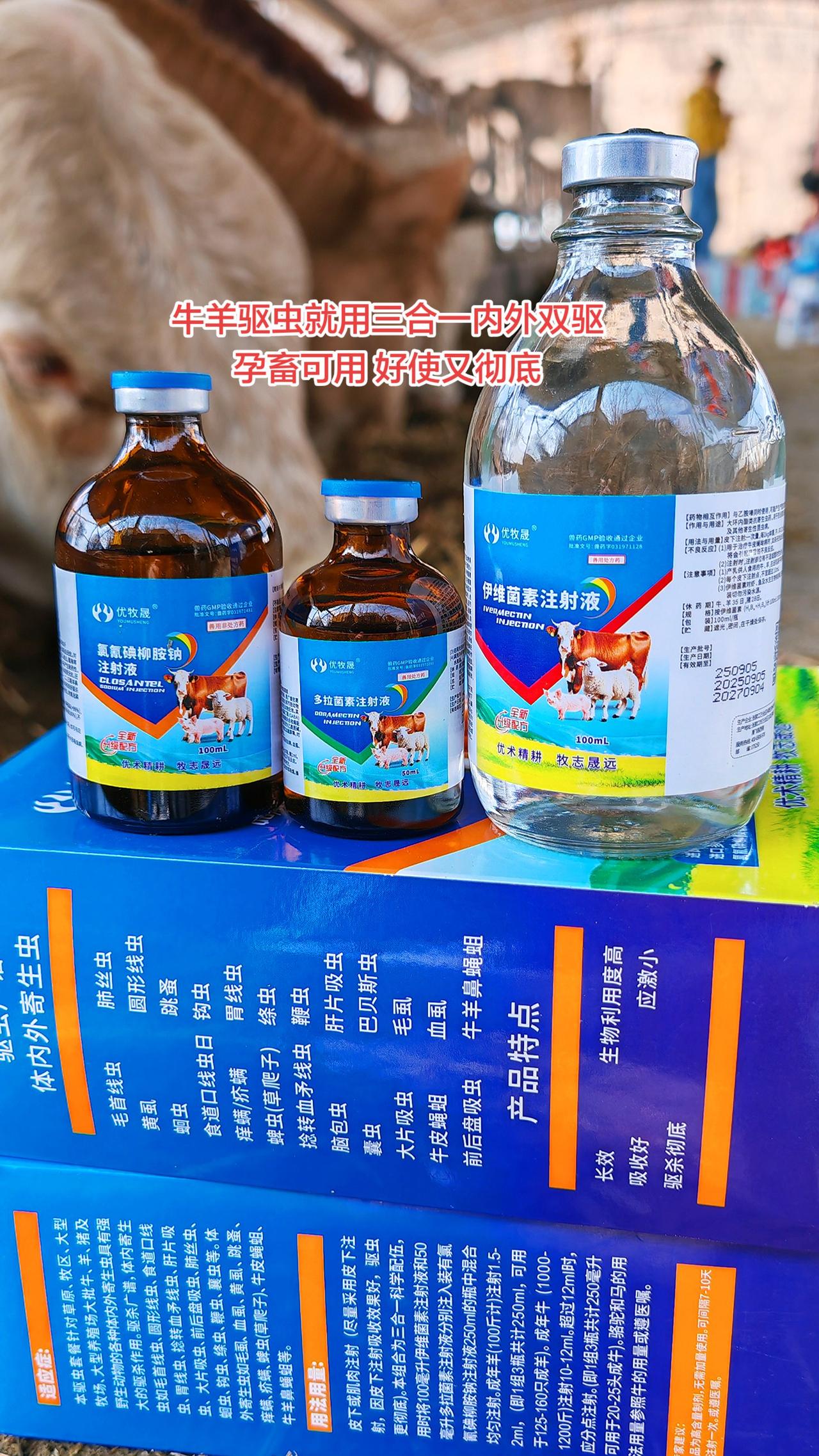 养羊技术 养殖人加油牛羊养殖农村养羊