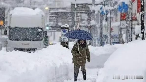 2026年1月底北海道暴雪成灾，截至1月28日，已造成17人死亡、249人受伤，