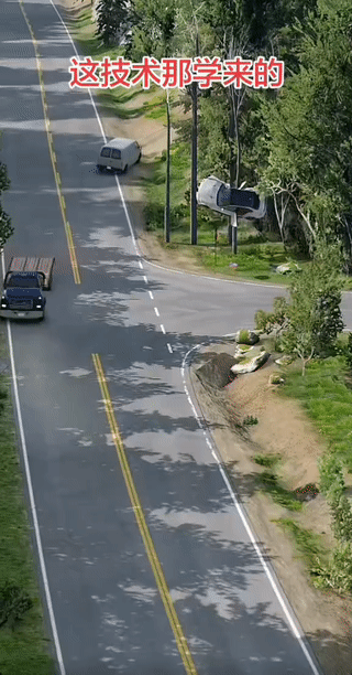 这个视频究竟是AI？还是真的？
难道真的有人开车能将汽车挂到树上？