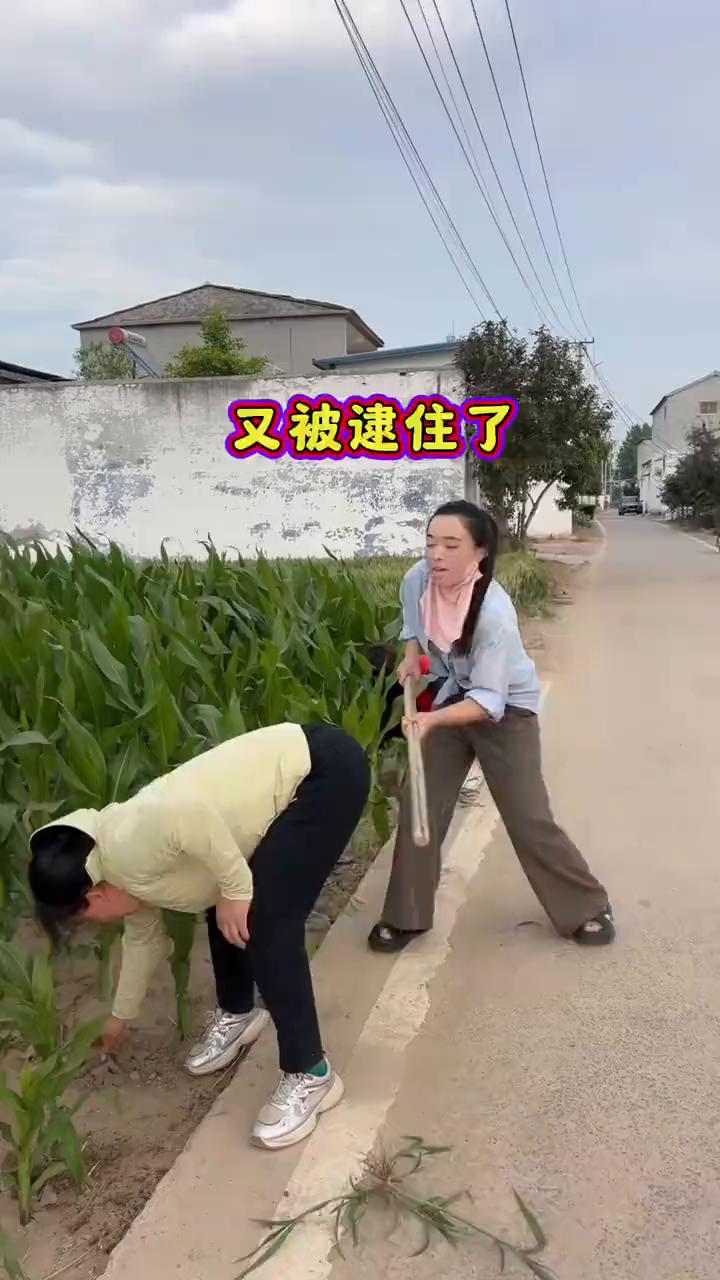 又被逮住了。