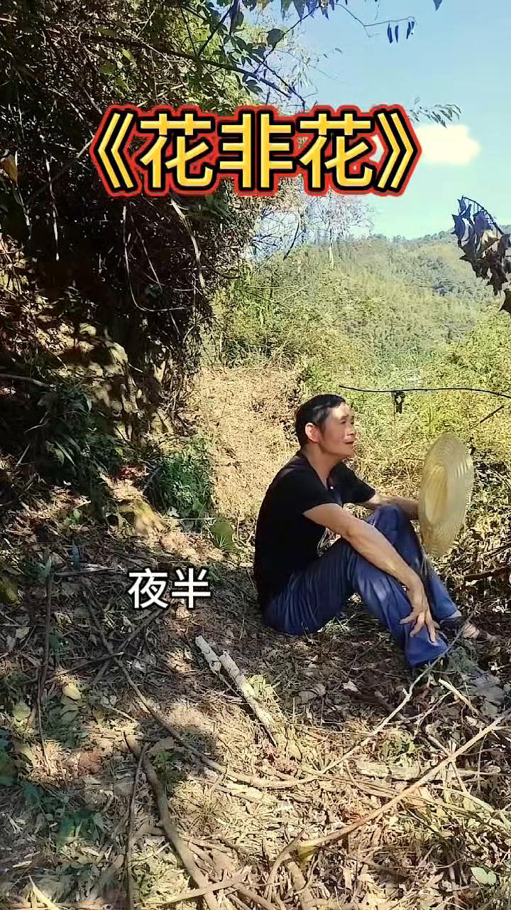 《花非花》。
花非花，雾非雾，夜半来天明去。来如春梦不多，去似朝云无觅处。