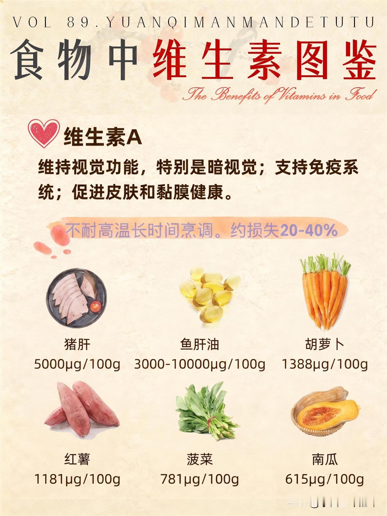 别瞎补了！这张食物维生素表才是懒人刚需

以前总觉得补维生素就得靠保健品，直到翻