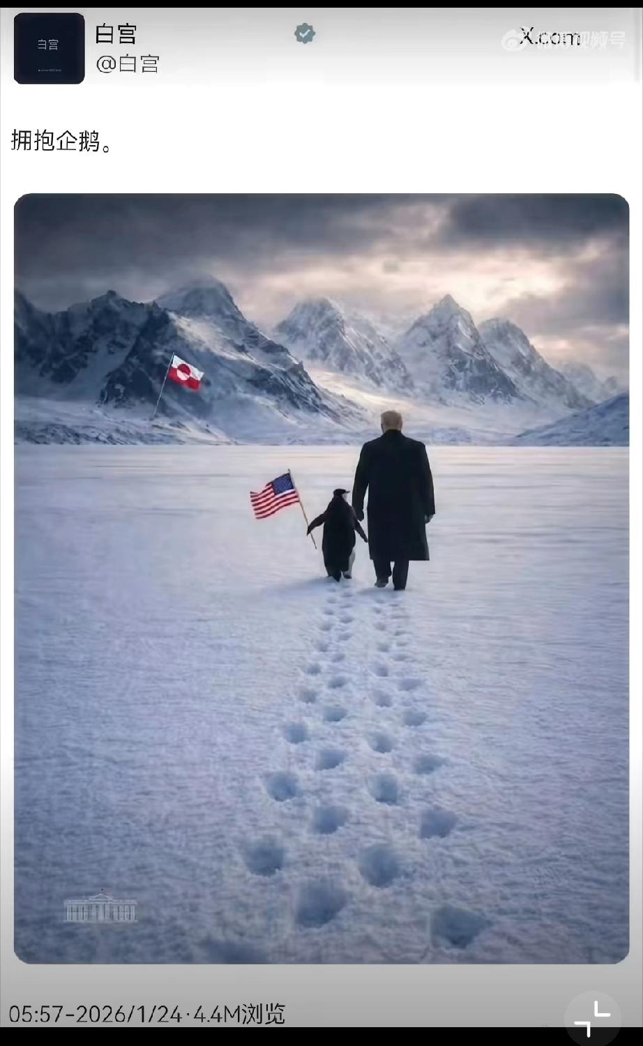 南极也想要？“拥抱企鹅”，美国白宫发了一张特朗普牵着举星条旗的企鹅走向格陵兰岛的
