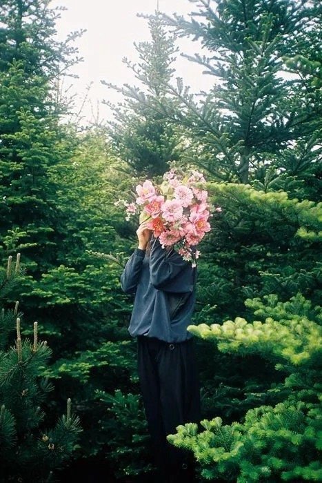 人生其实很简单，不给自己添乱，生活就一点都不乱。——苏岑 