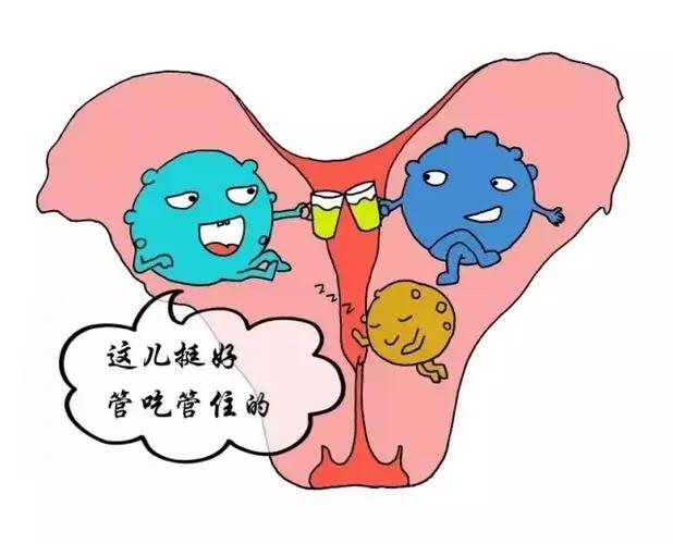 #健康真探社#【子宫好不好？看内裤就知道了！】世界上最贵的房子就是“子宫”了。它