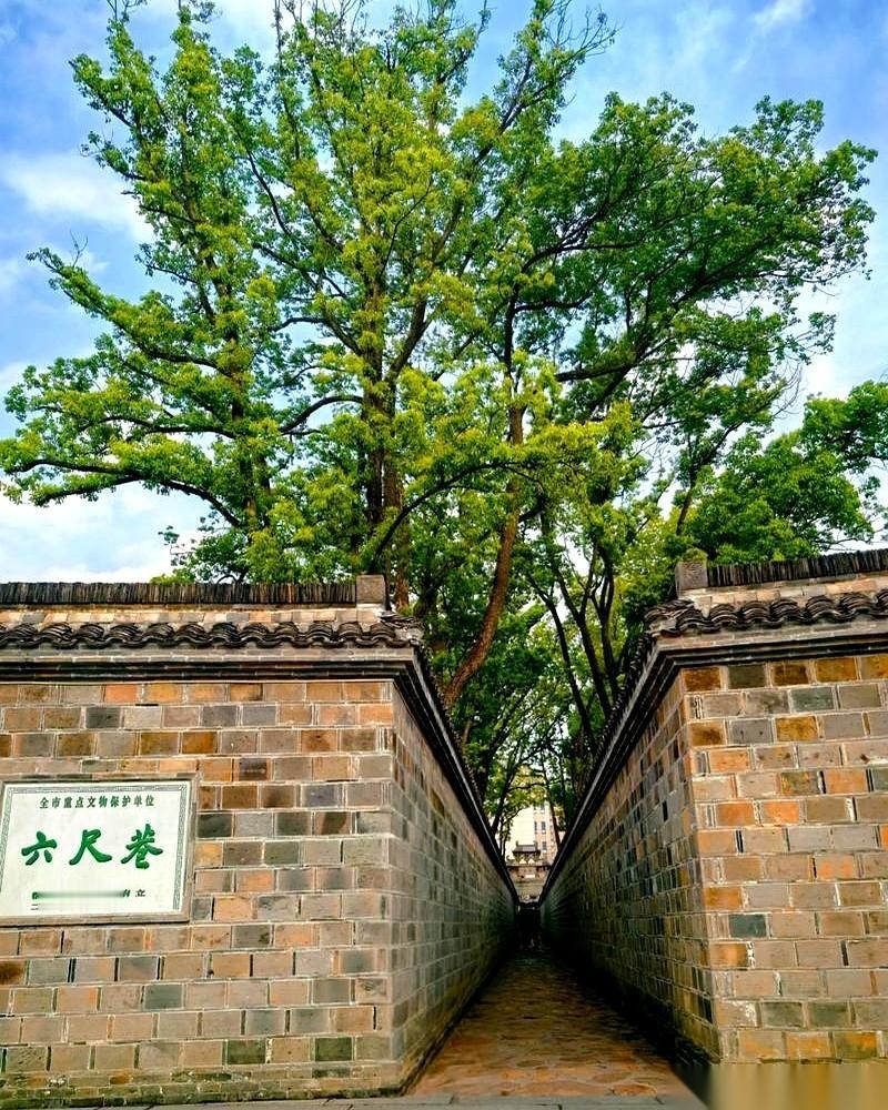 安徽有个三百年的老故事，叫“六尺巷”，讲的是两家高门大院为了一堵墙吵得不可开交。