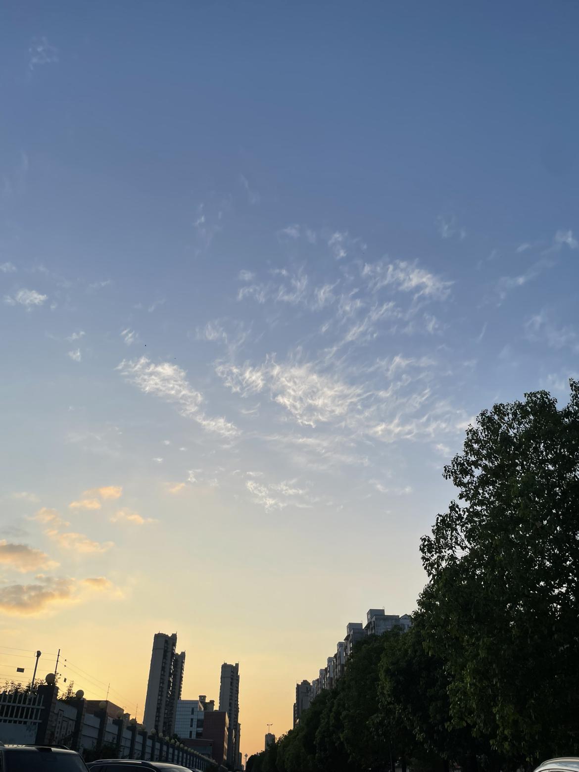 我的今日状态：😁轻松愉快
我这里的天气：☀️晴天
初秋早上，迎着朝阳，走一走，