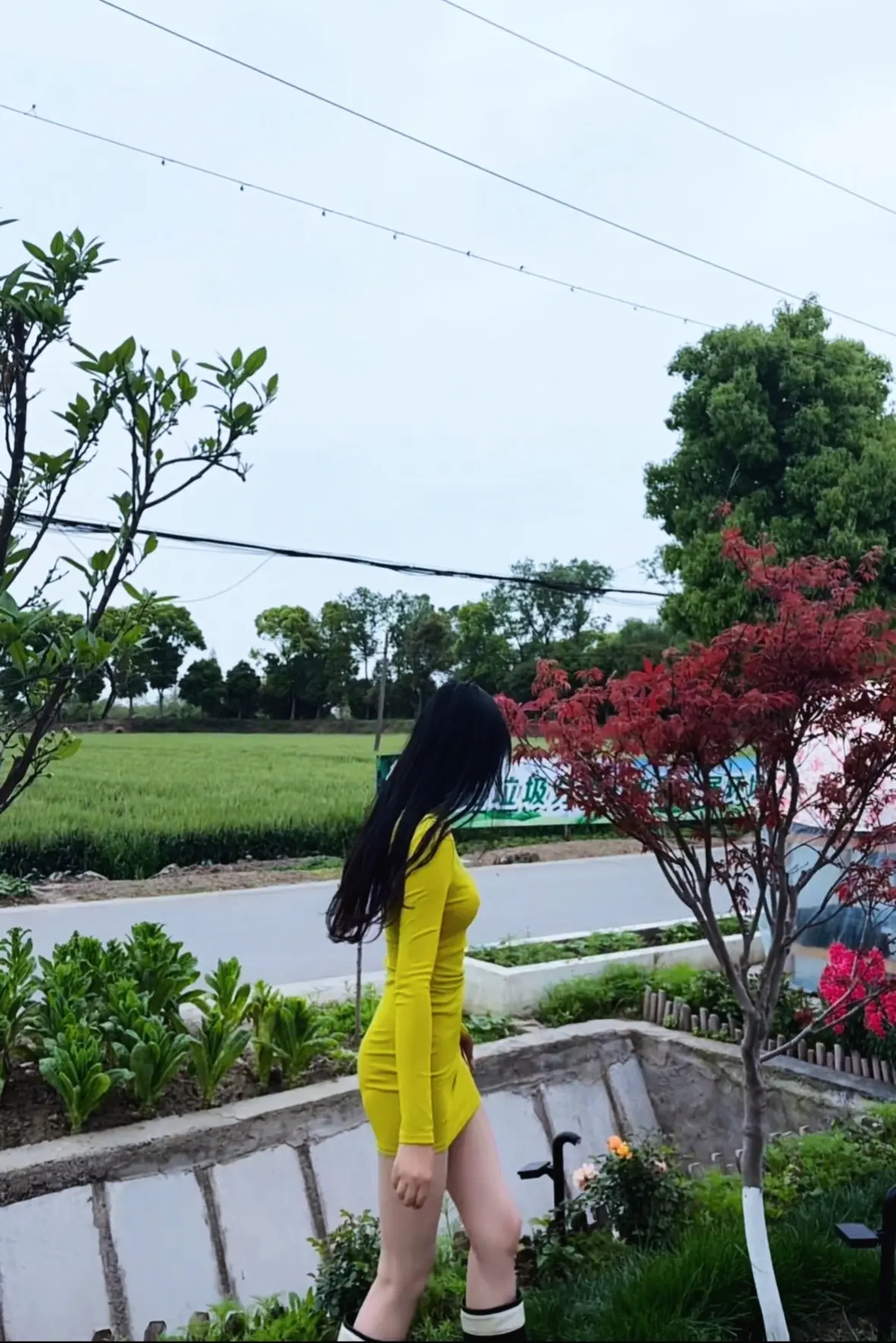 人生啊，真是一场荒诞的事与愿违。