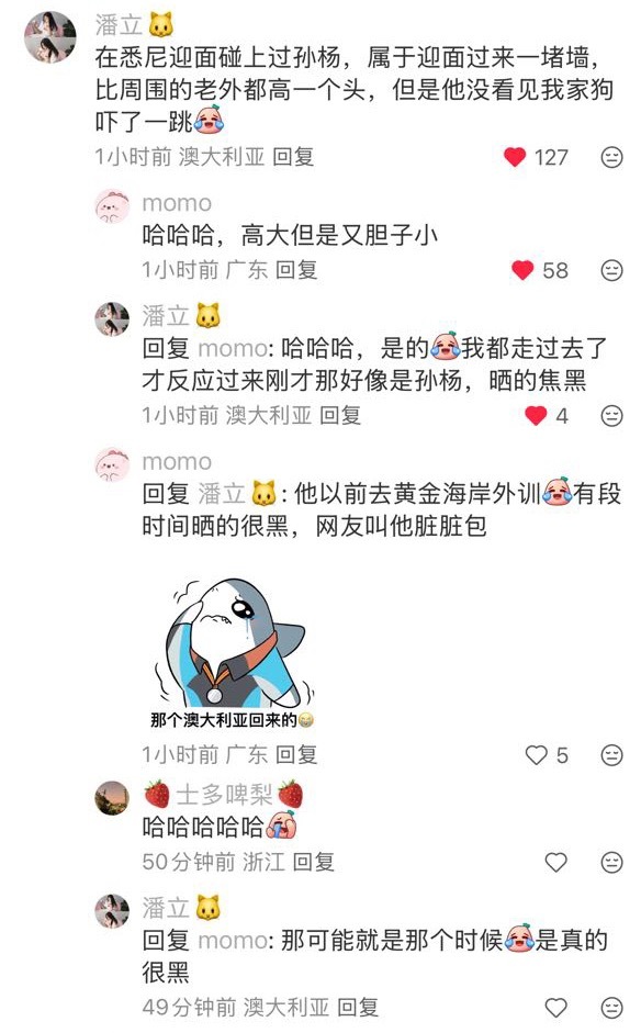 孙杨  孙杨狗塑就是高大挺拔但胆子小的一条德牧犬这样🥹 