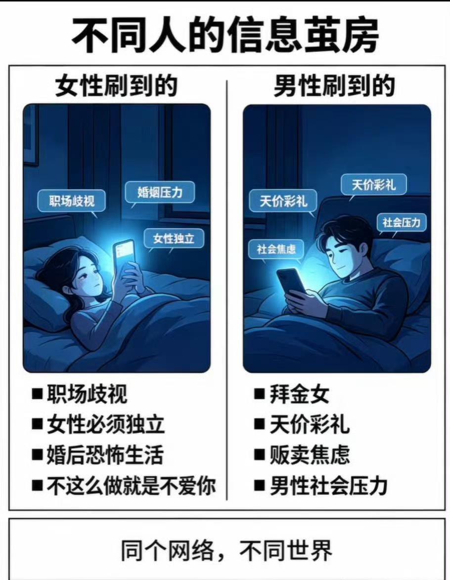 同一片网络，算法却给每个人编织了不一样的世界。