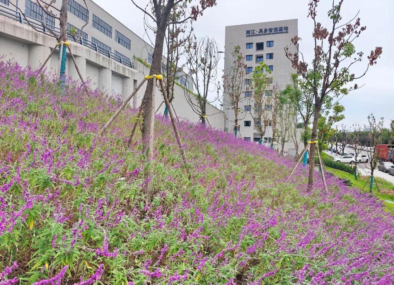 在重庆发现一个机器人产业基地，预言会火。最近在研究具身智能赛道，发现一个有意思的