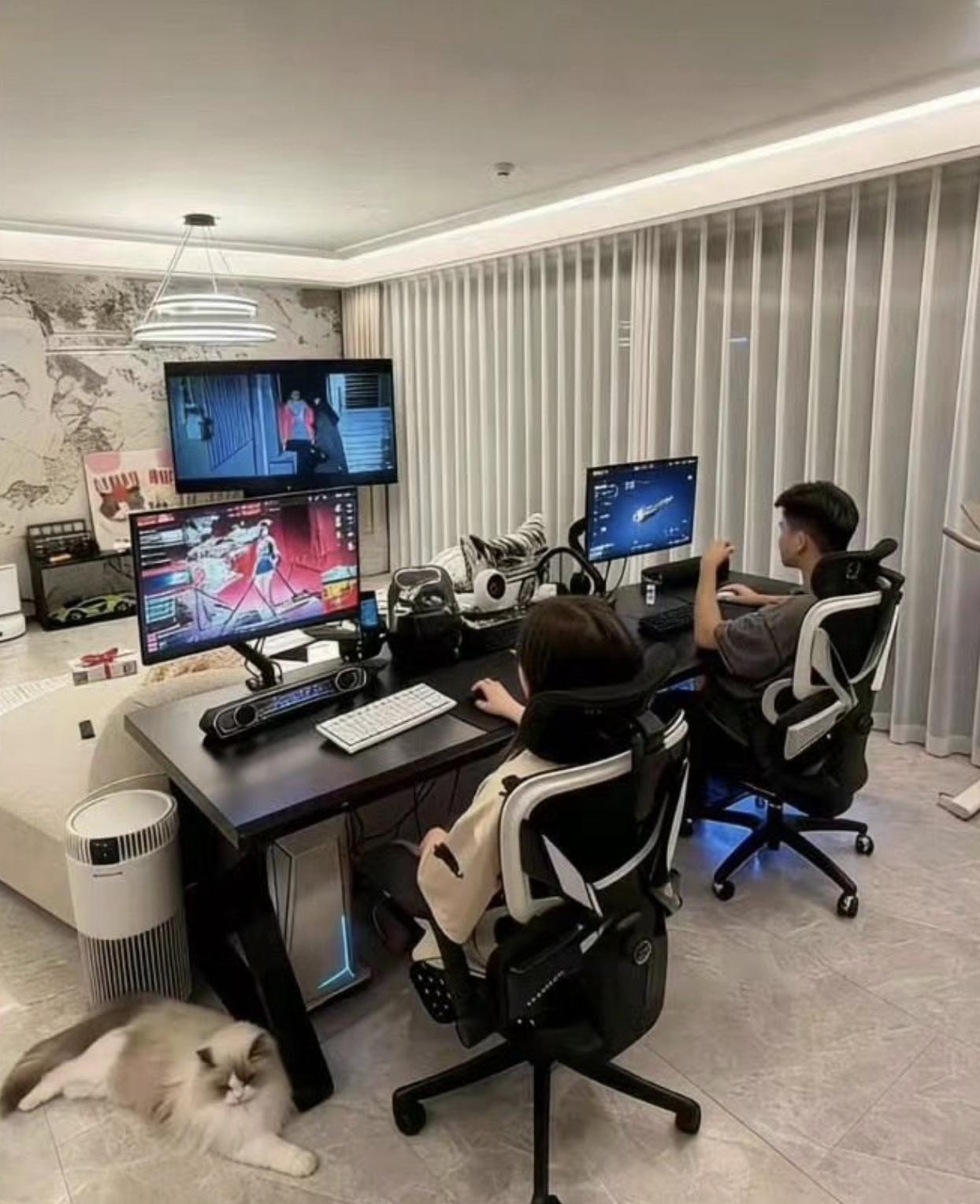 一家三口 第三口是一只猫或一条狗～