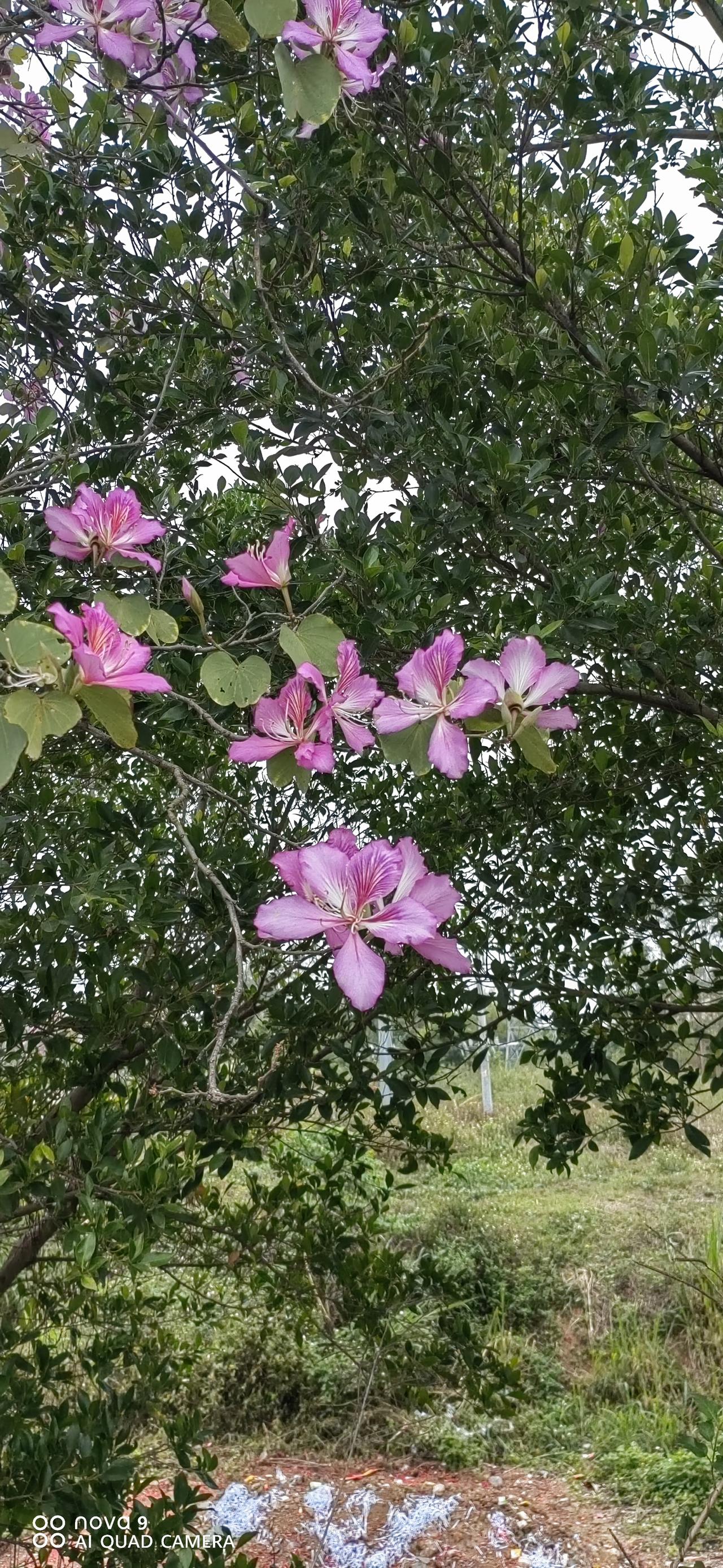 太原又又又创城了，太原人怎么看？