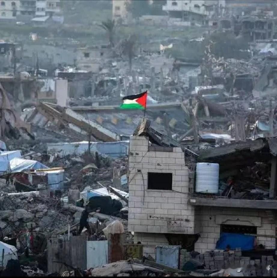 持续两年多的加沙冲突出现关键转折，相关方面同意分阶段缴械并移交地道图纸。在联合国