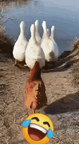 路走错了，要及时止损，回头是岸！