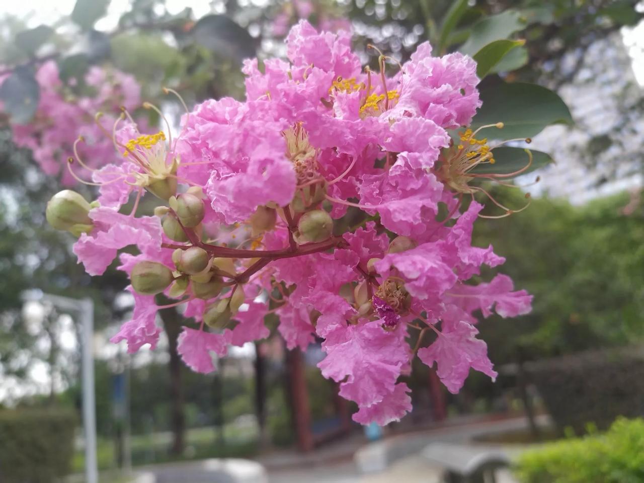 葛亮为蜀展鸿图，任人唯贤选姜维。
政治谋略军事家，注重农业赏罚明。
葛信张裔蒋琬