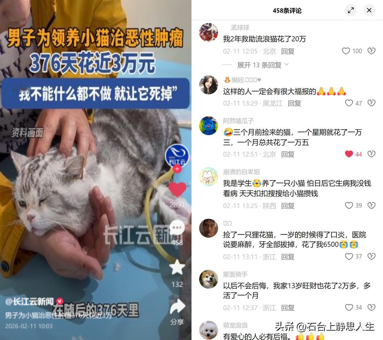 黄杰涛376天花3万救病猫！

领养的猫臭弟弟得罕见恶性肿瘤，医生说最多活一