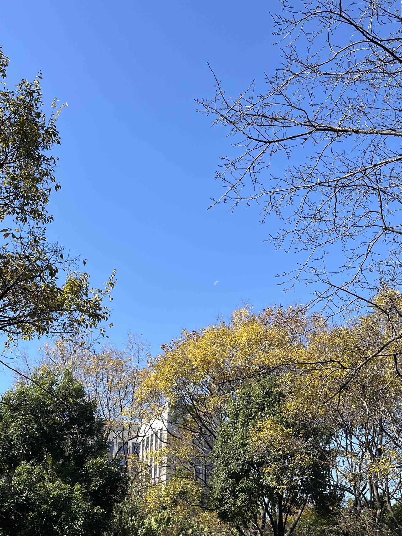 听说北方下大雪？还是昆明天气好呀，太阳晒着，真暖和。北京大雪