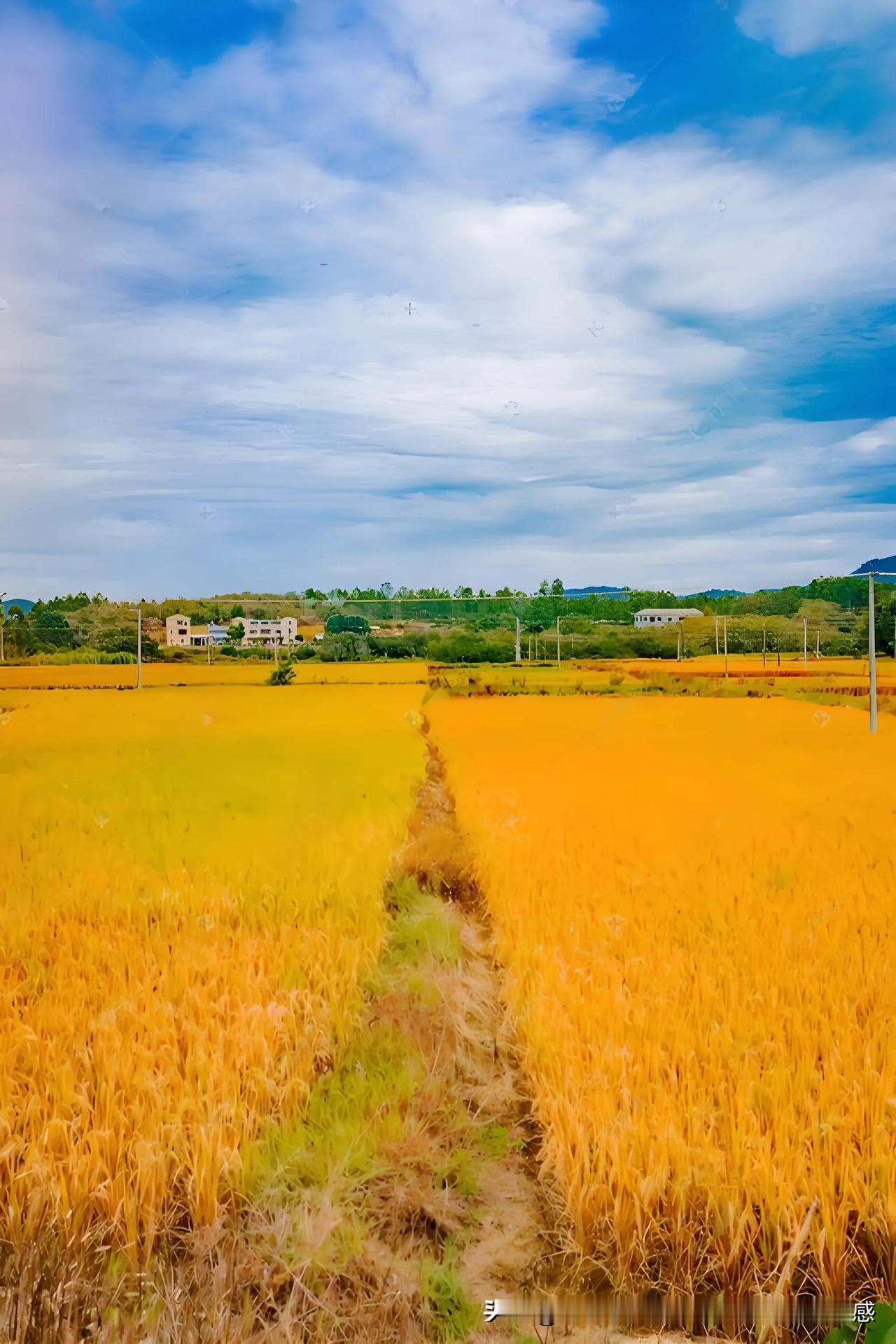 上联：春播十亩稻
我的下联：秋收万担粮
1. 内容对仗："秋收"对"春播"，时序