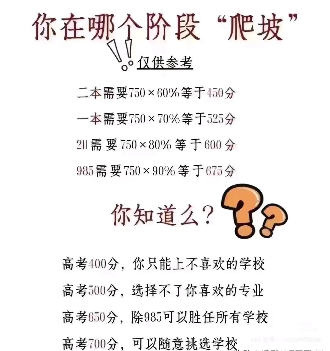 学习天赋、努力程度决定你的高度，阶段的高低完全取决于自身能力学习的重要性！