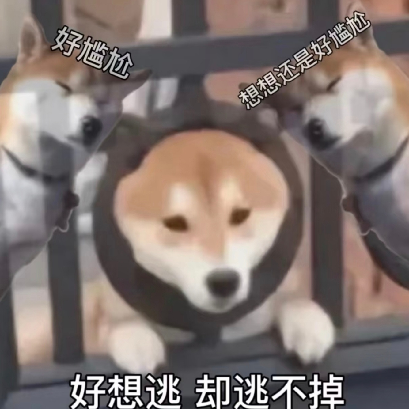 什么叫恋与深空为王者诞下一子，逆水寒吃醋了🙉🙉全世界都在吃这个叠血馒头 