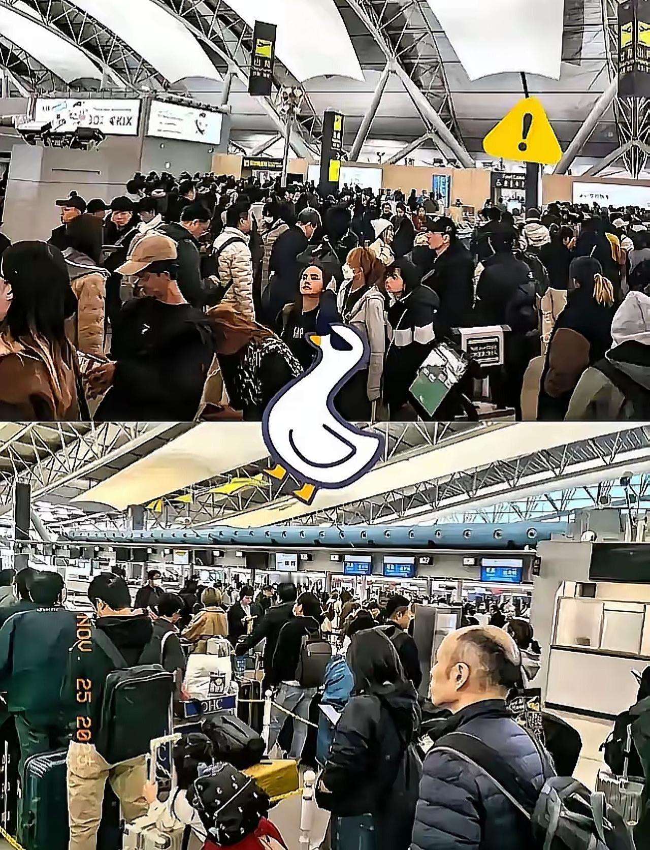 这下傻眼了吧！非要赴日旅游，还说什么这是自己的自由，自己要潇洒走一回。这下好了，