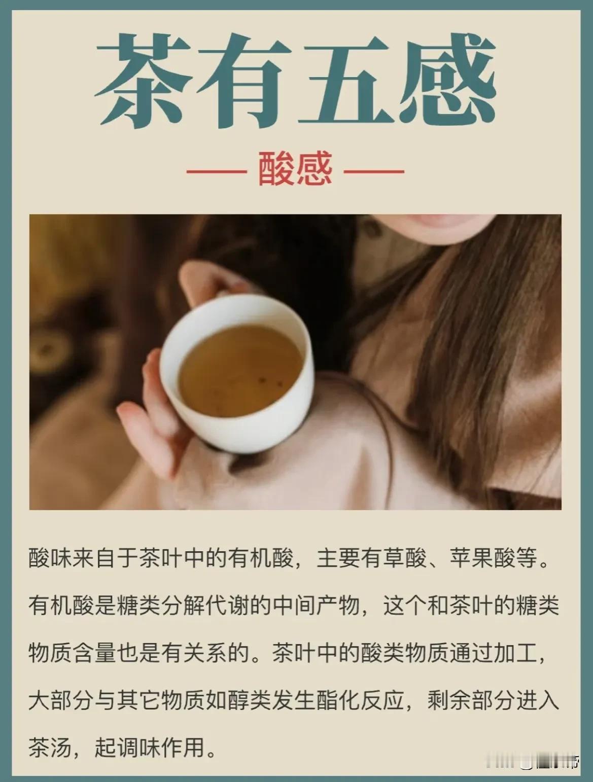 茶中“五感”都是从哪来的？