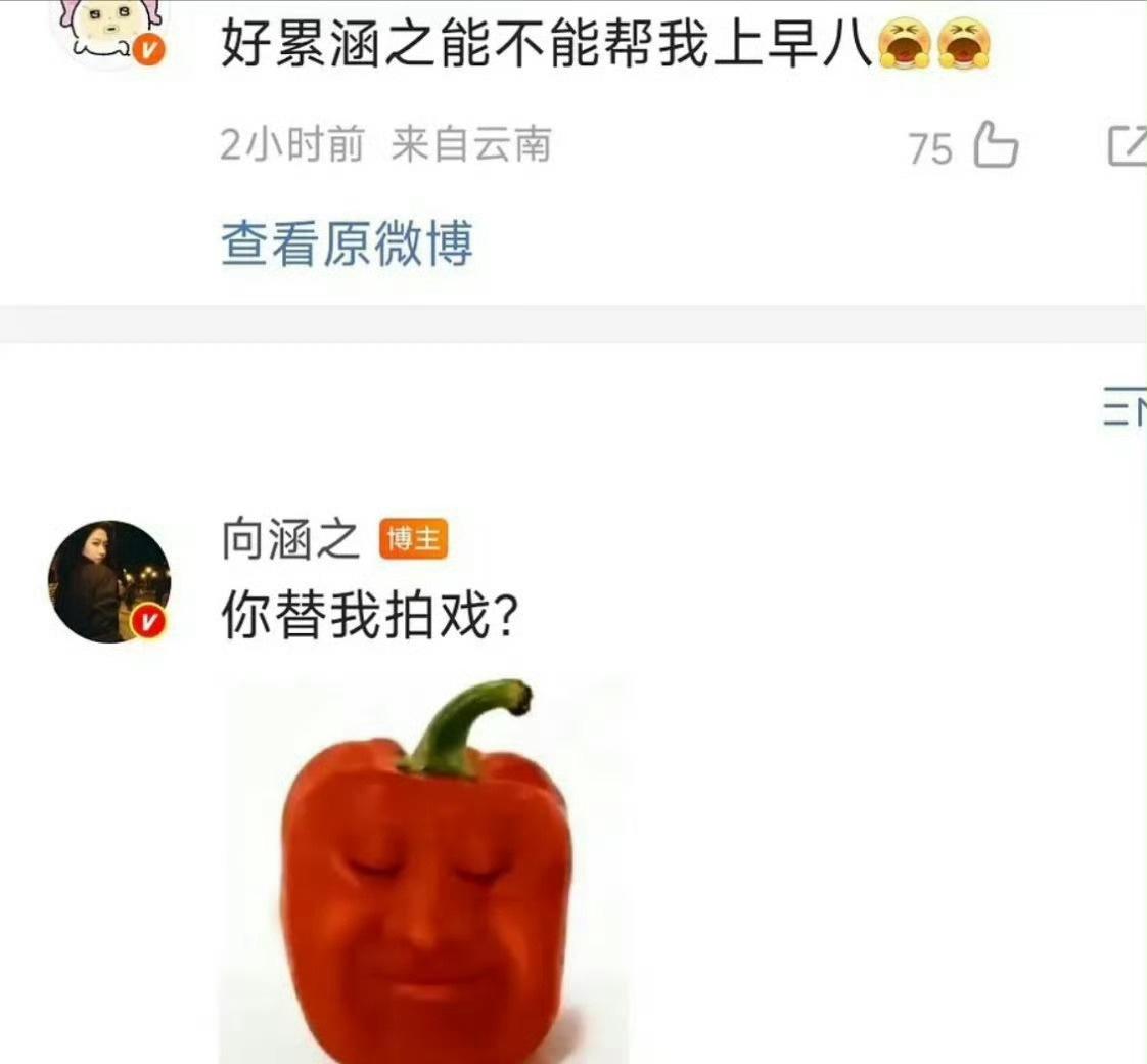 你替我拍戏谁懂啊！向涵之这句“你替我拍戏？”直接说出了所有打工人/早八人的心声?