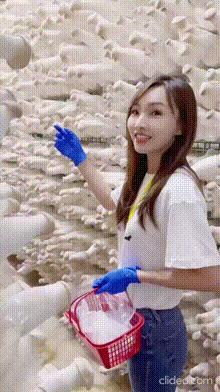 怎么？你居然没见过杏鲍菇？