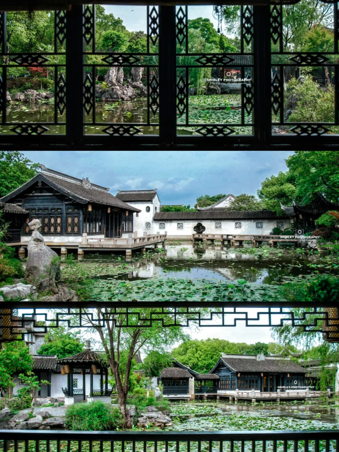 避开人从众🌿江南唯一的园林古镇夏天美绝了