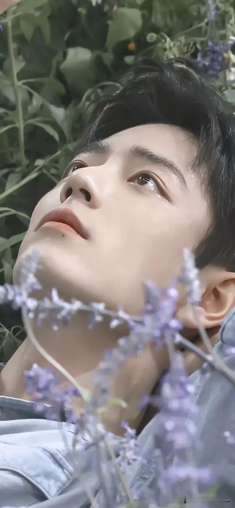 向全世界安利肖战[庆祝][庆祝][庆祝]
再优美的词语也形容不了他的好！
🥰