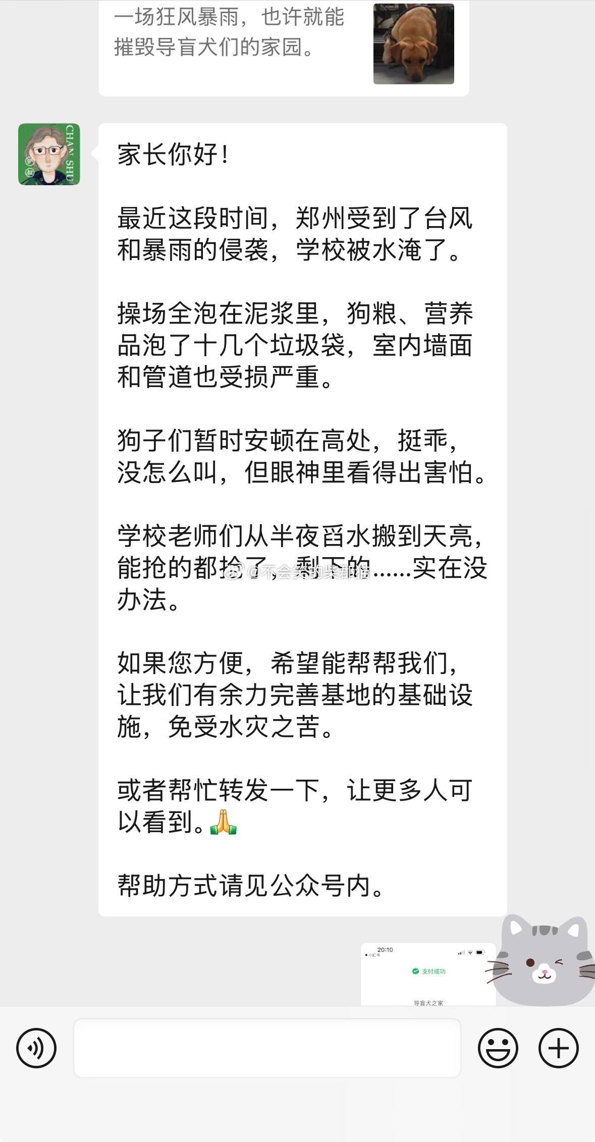前几天我一直在捐助的导盲犬之家被台风袭击了，不过这几天修好啦！开心！狗子们都很好
